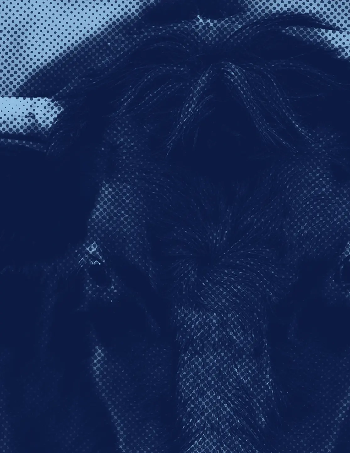 Bull Illustration